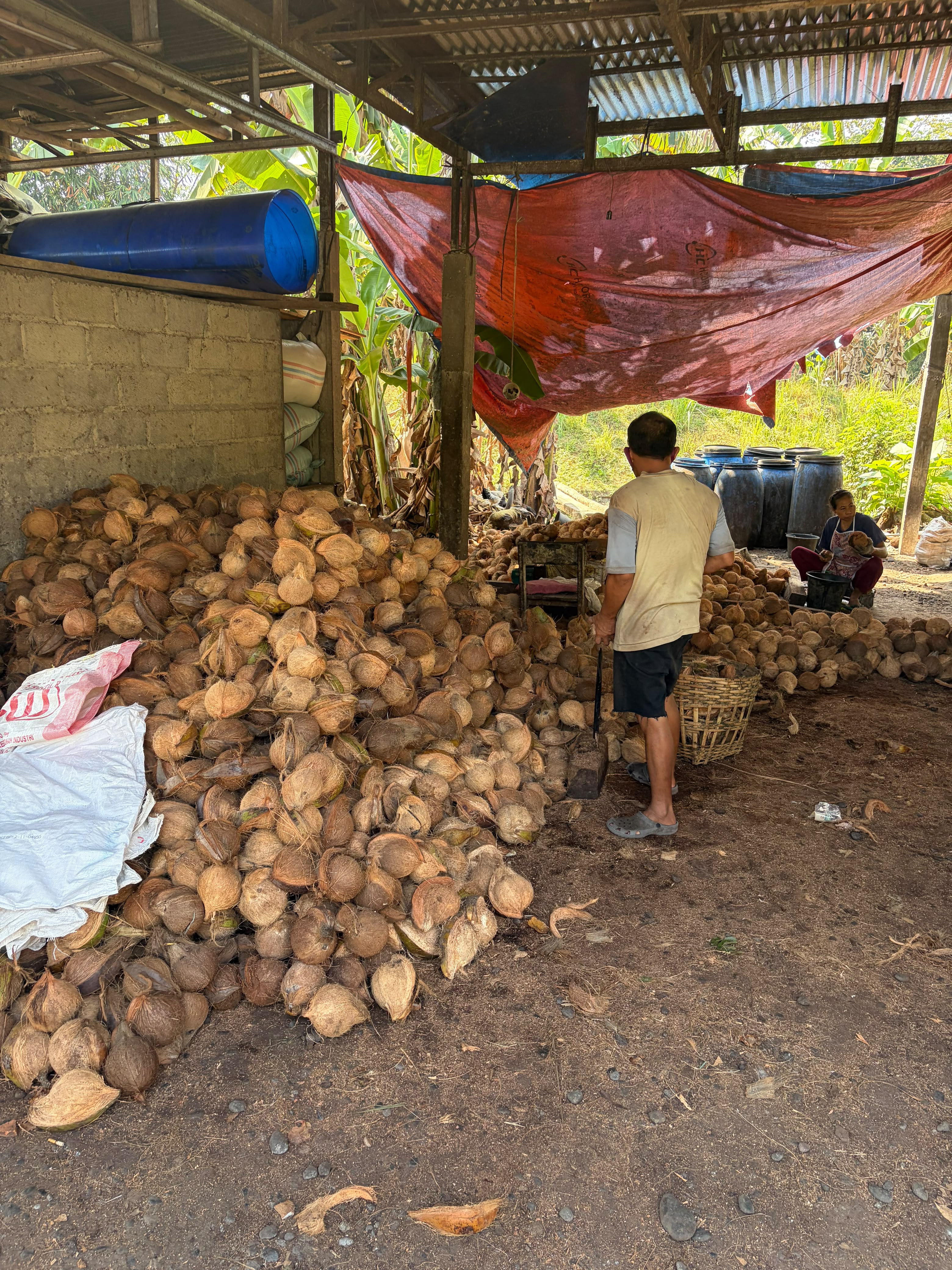 Global Optima Distribusi coconut processing activity